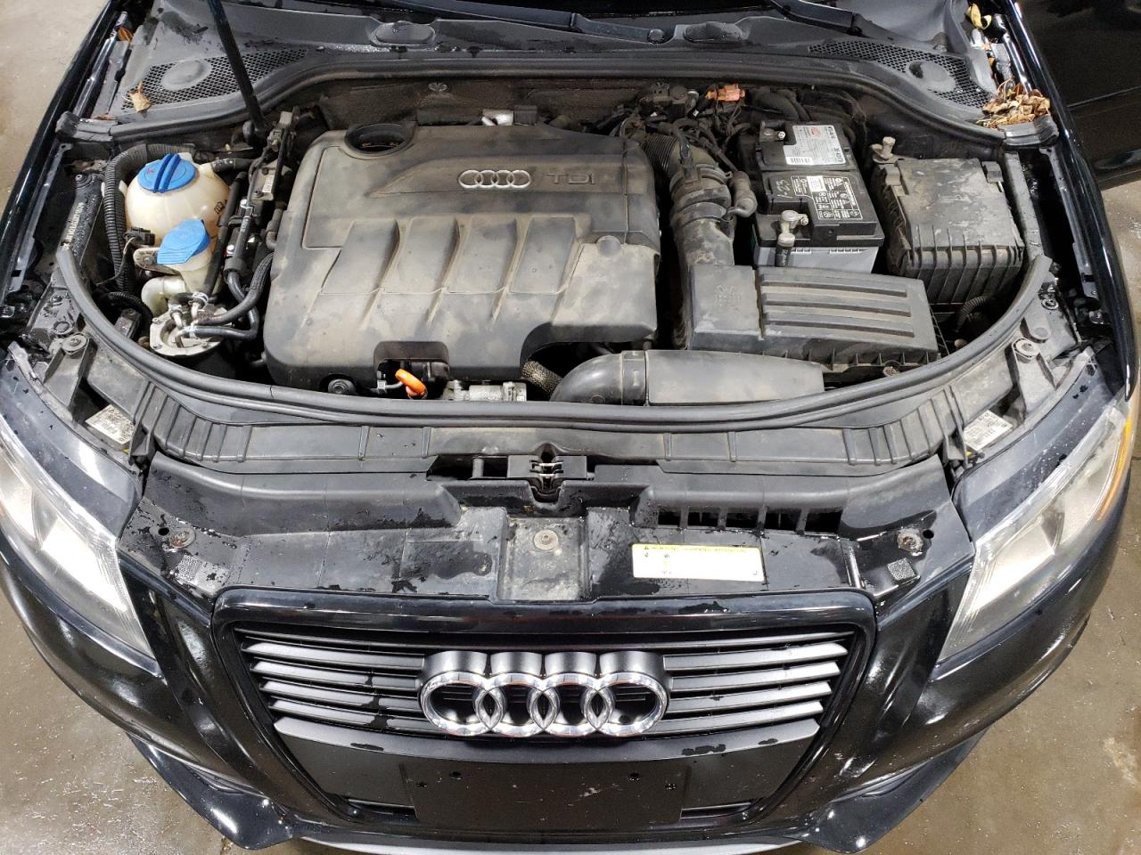 2011 Audi A3 Premium Plus VIN: WAUKJAFM2BA027152 Lot: 74000634
