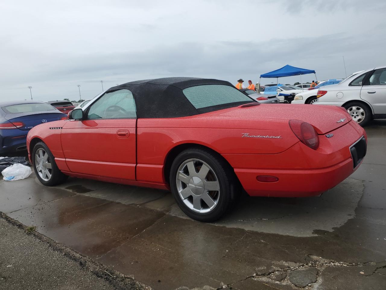 2002 Ford Thunderbird VIN: 1FAHP60A52Y104598 Lot: 74252034