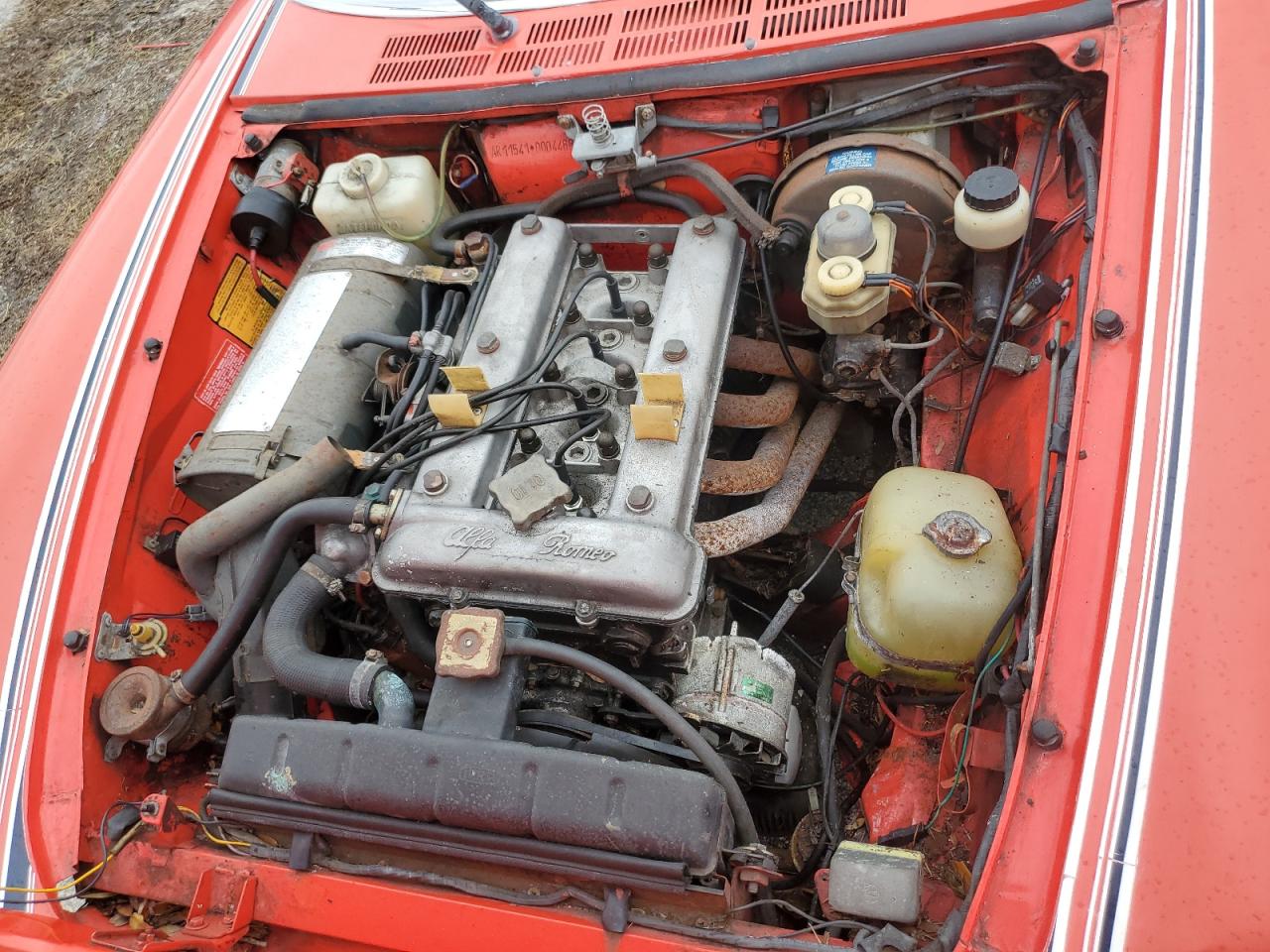 1978 Alfa Romeo Spider VIN: AR115410004488 Lot: 74726184