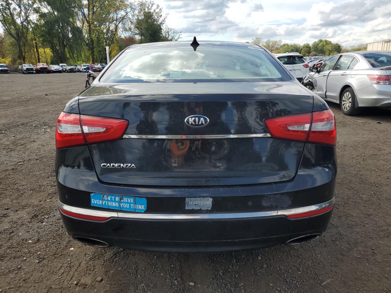 2014 Kia Cadenza Premium VIN: KNALN4D75E5150884 Lot: 73677174