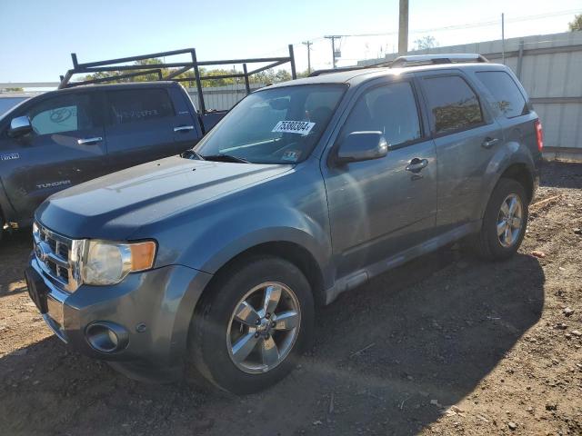 2010 Ford Escape Limited