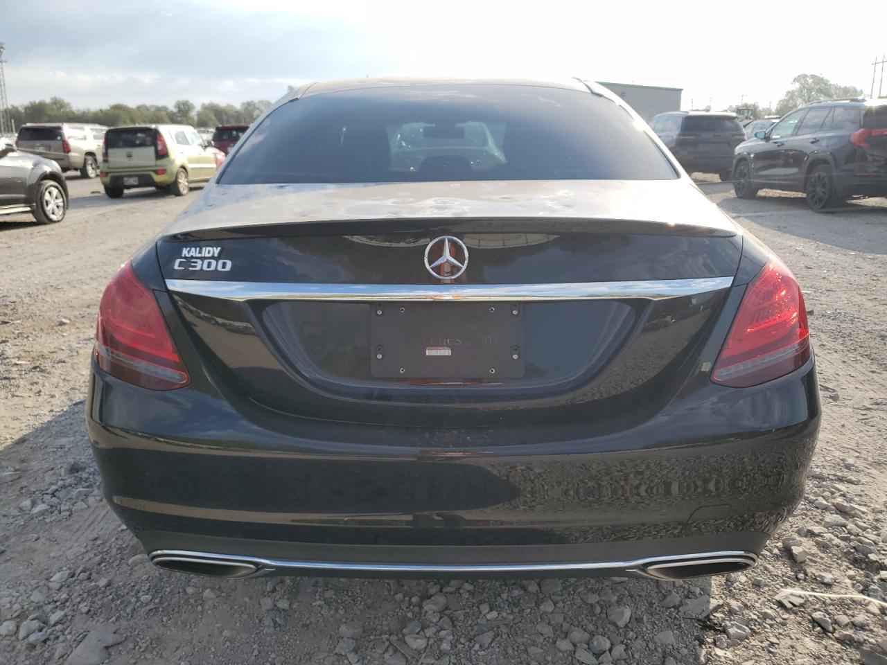 2019 Mercedes-Benz C 300 VIN: 55SWF8DB4KU288627 Lot: 74395464