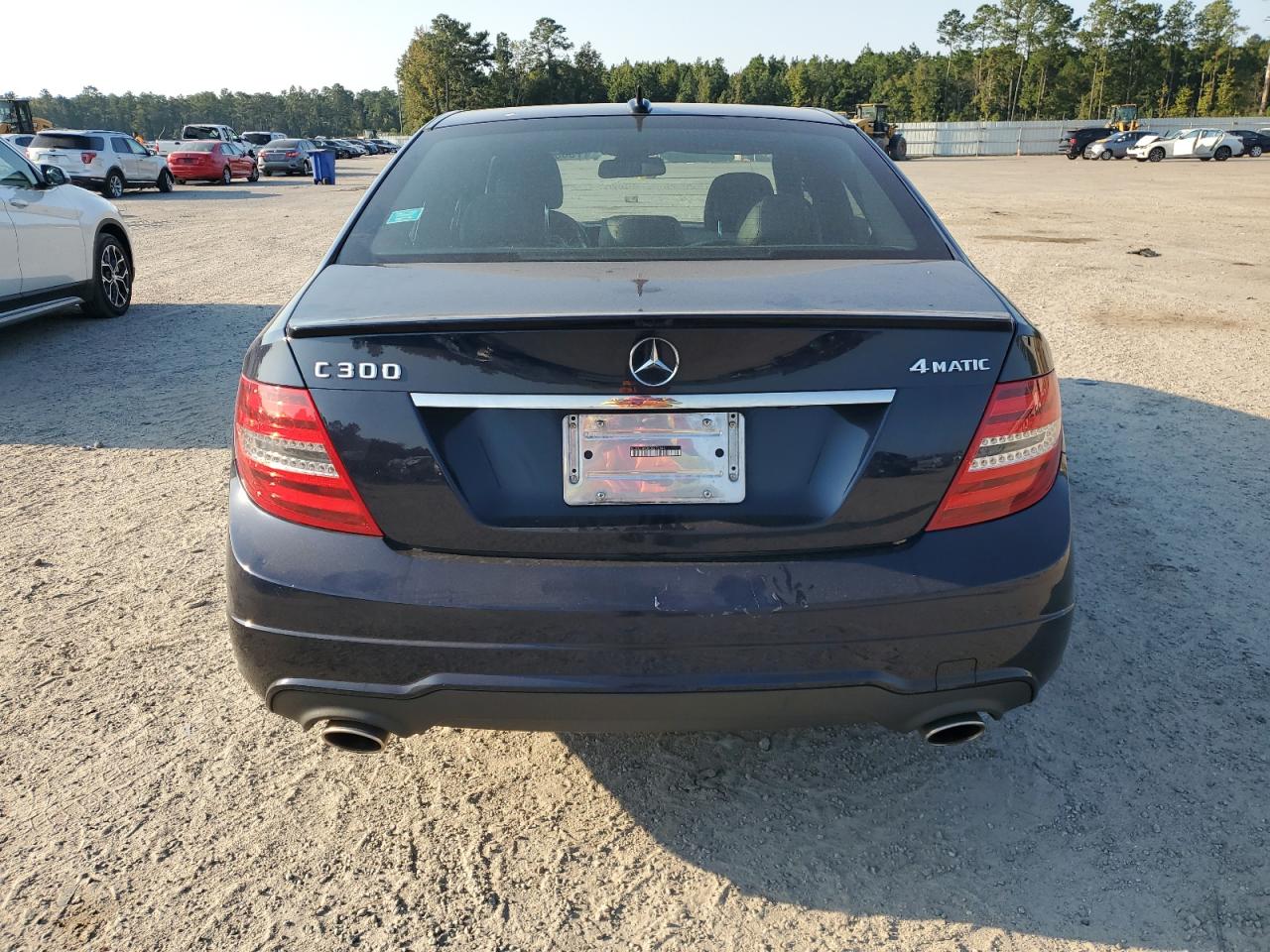 2013 Mercedes-Benz C 300 4Matic VIN: WDDGF8ABXDR278844 Lot: 75631964