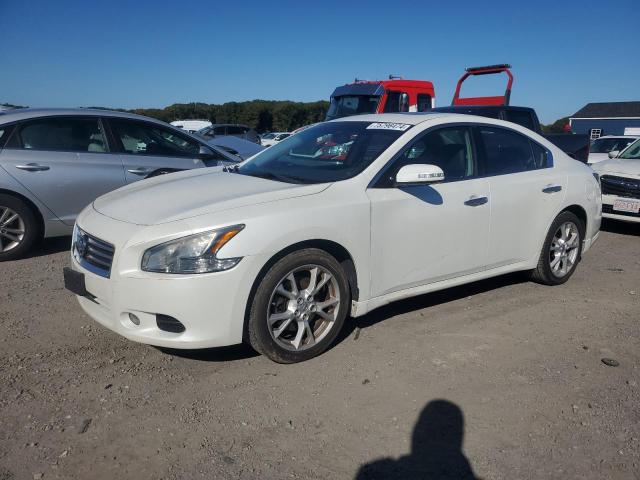  NISSAN MAXIMA 2014 White