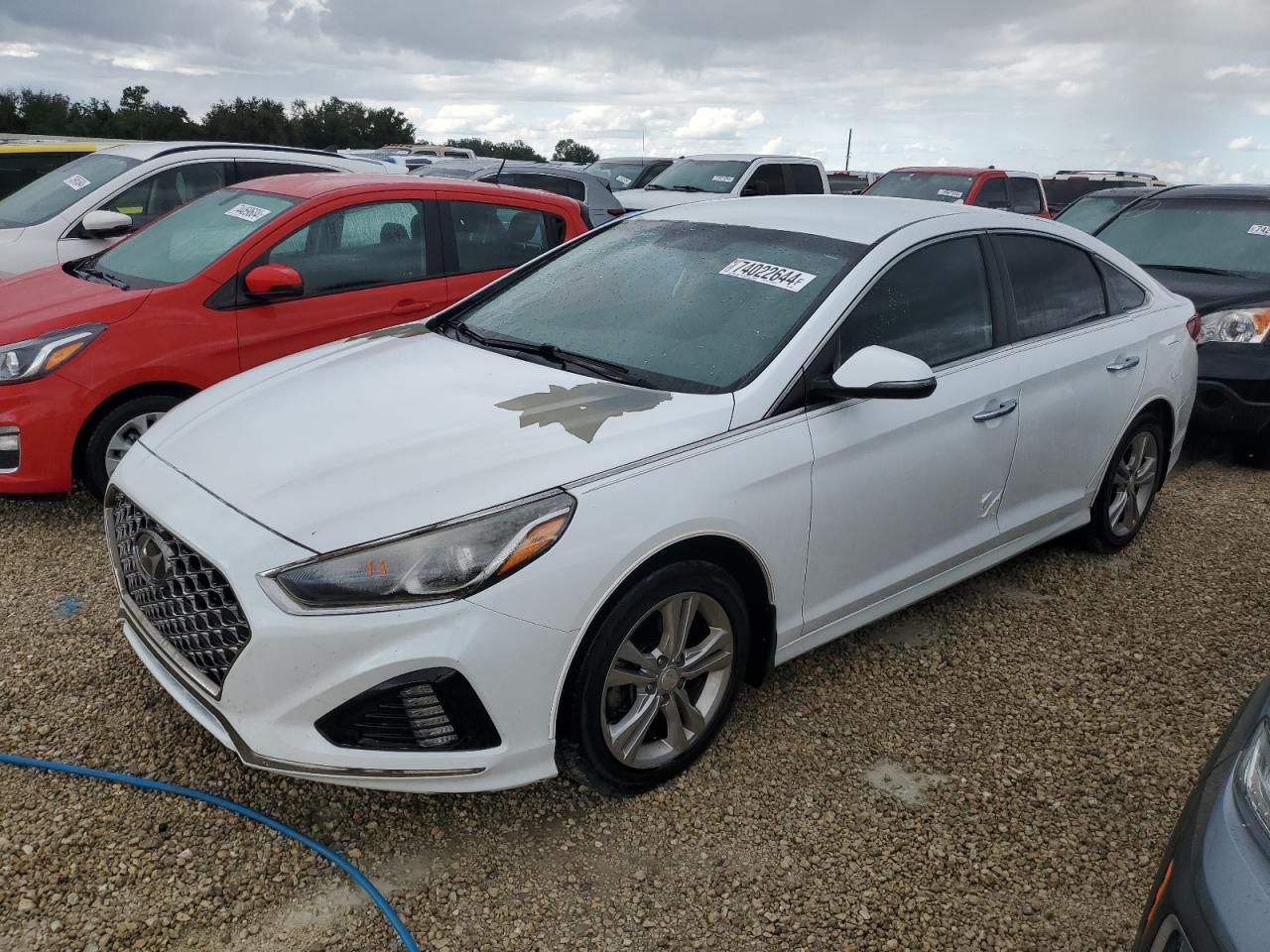 5NPE34AF4KH733584 2019 Hyundai Sonata Limited