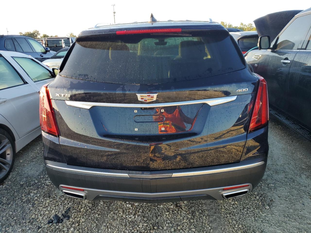 2021 Cadillac Xt5 Premium Luxury VIN: 1GYKNCRS6MZ225843 Lot: 74279514