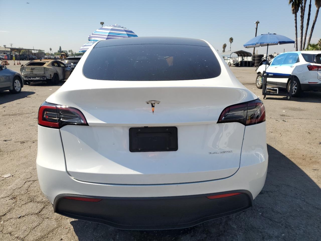 2023 Tesla Model Y VIN: 7SAYGDEE0PA037684 Lot: 74376884