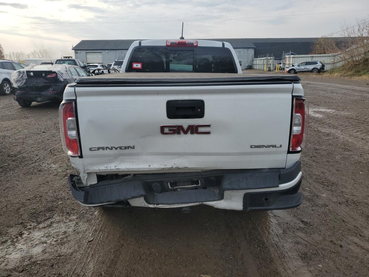 2019 GMC Canyon Denali VIN: 1GTG6EEN1K1162585 Lot: 77849524