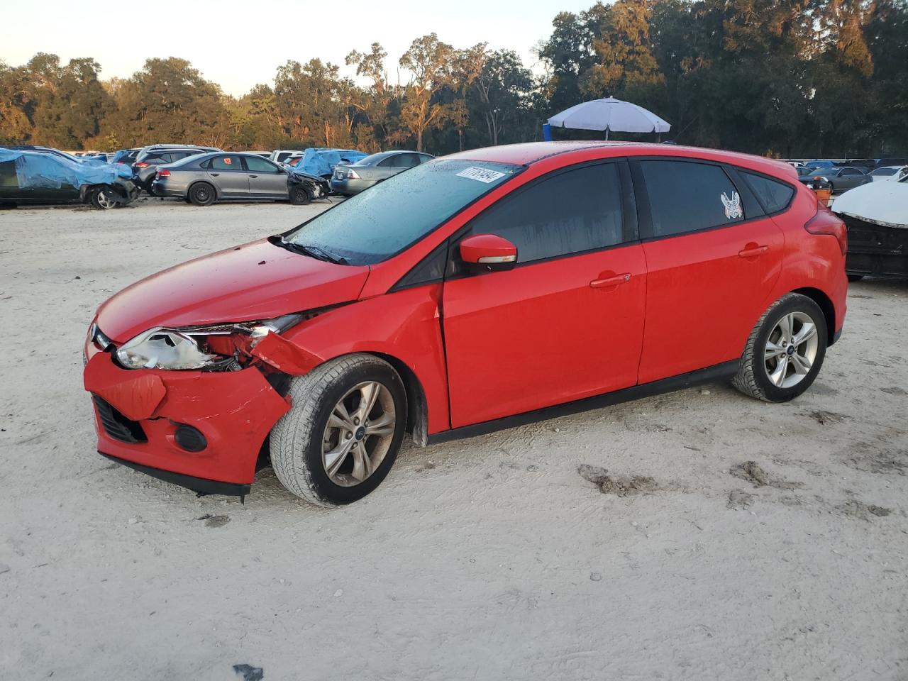 2013 Ford Focus Se VIN: 1FADP3K20DL312214 Lot: 77761494