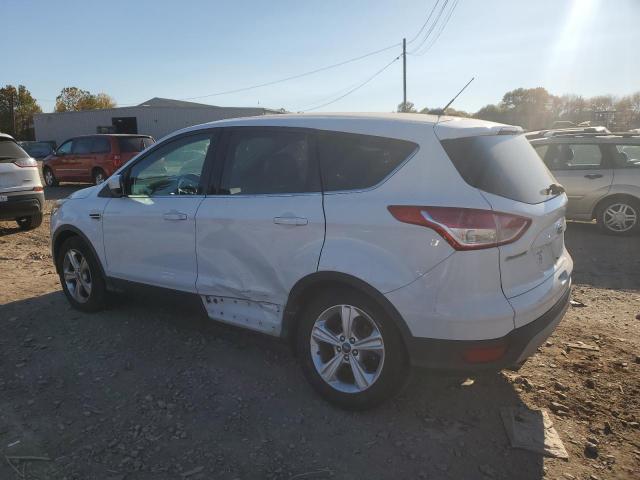  FORD ESCAPE 2014 White