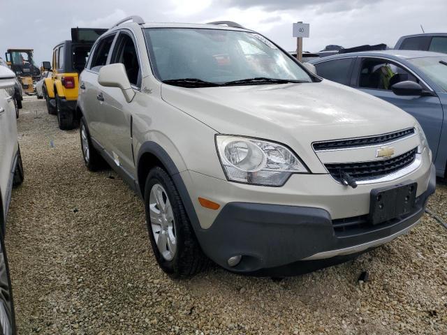  CHEVROLET CAPTIVA 2013 Колір засмаги