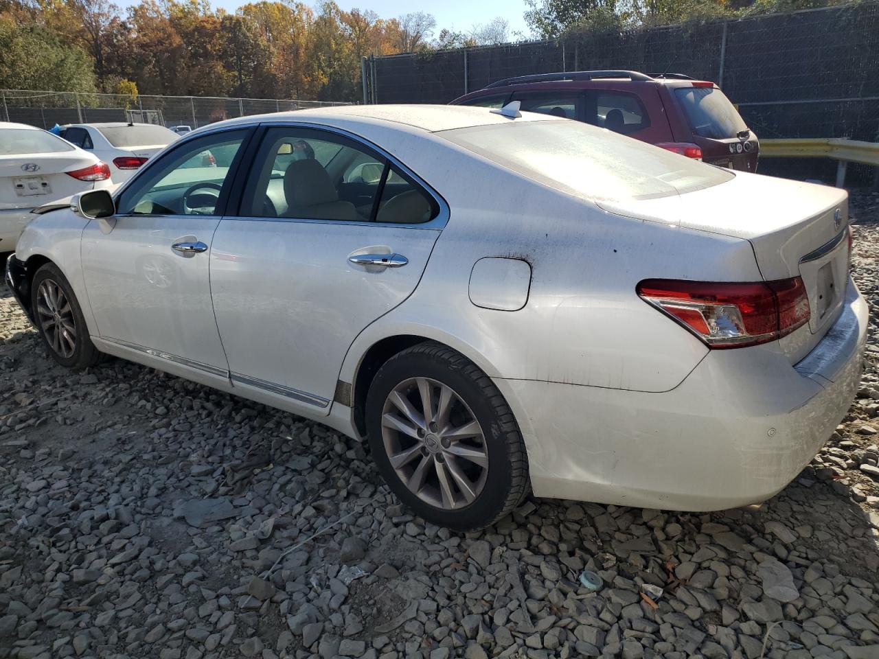2011 Lexus ES - Image 2