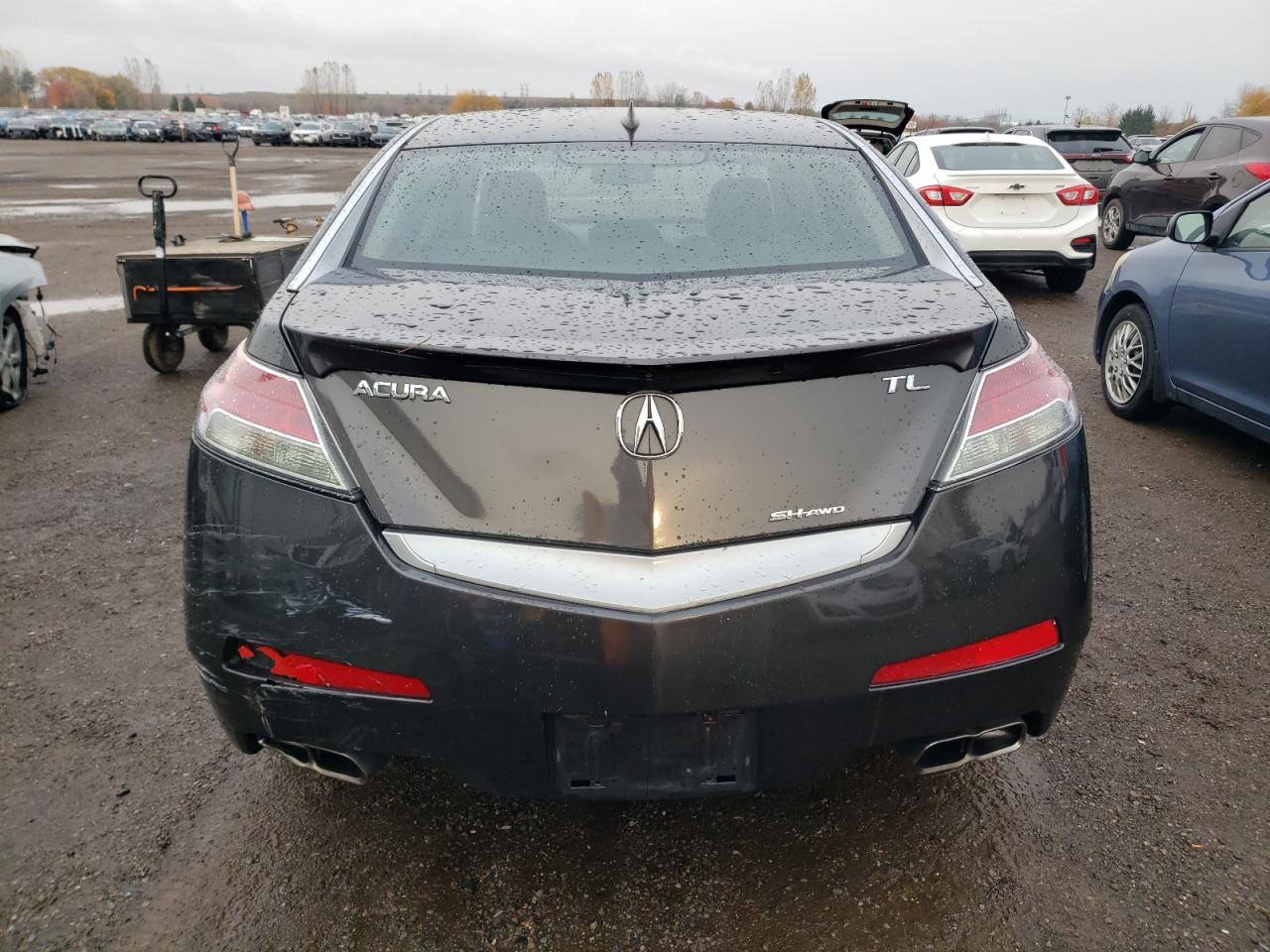 2009 Acura Tl VIN: 19UUA96589A002660 Lot: 77972054