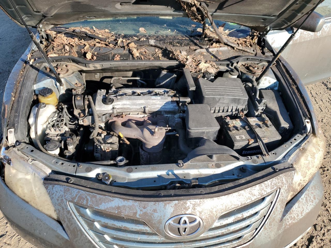 4T1BE46K99U804731 2009 Toyota Camry Base