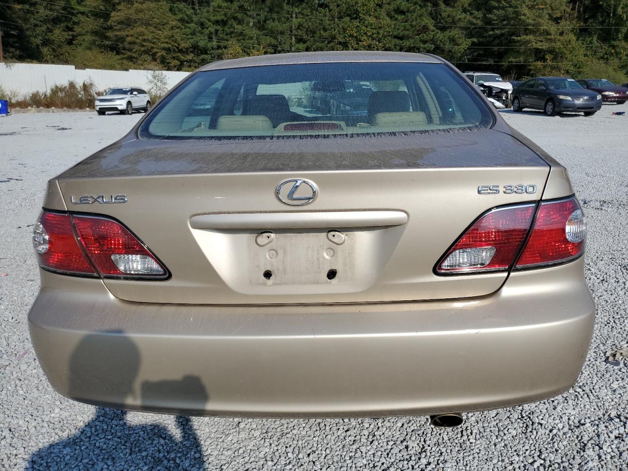 2004 Lexus Es 330 VIN: JTHBA30G545038576 Lot: 76791654