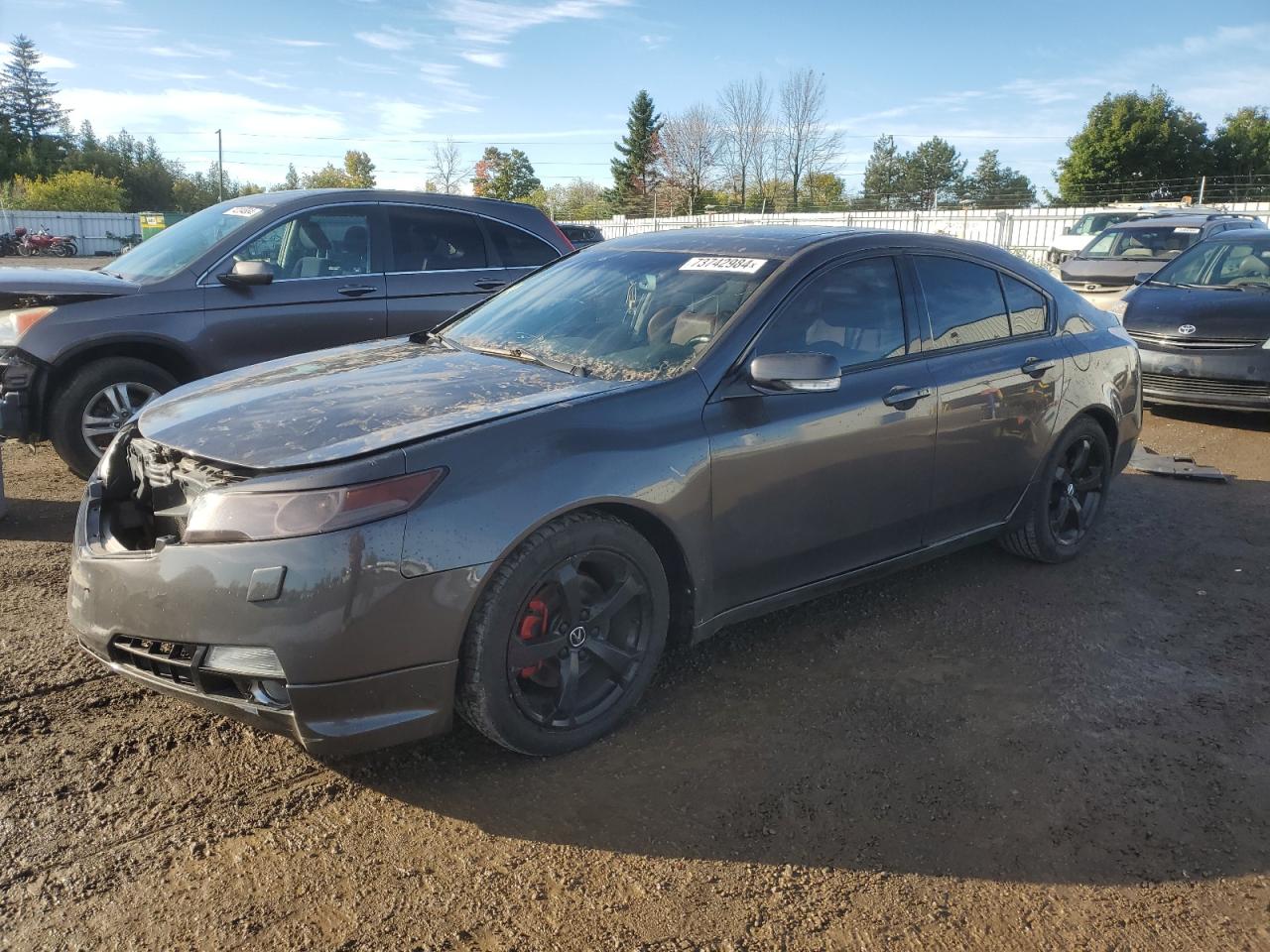 19UUA9F5XAA801568 2010 Acura Tl