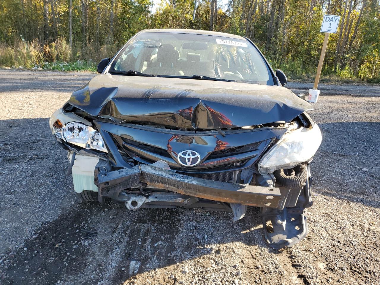 2012 Toyota Corolla - Image 5