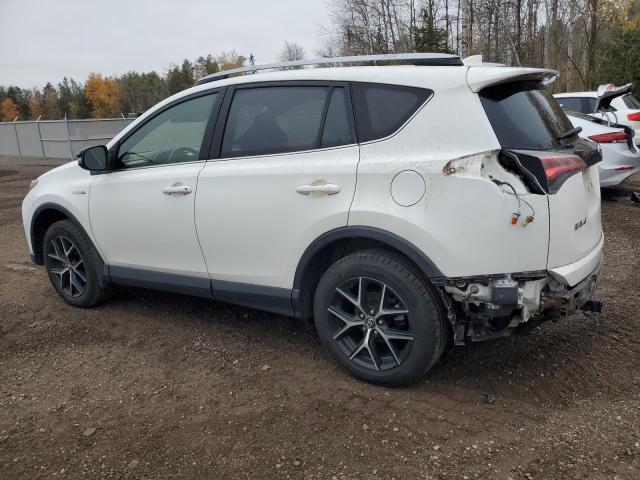  TOYOTA RAV4 2017 Білий