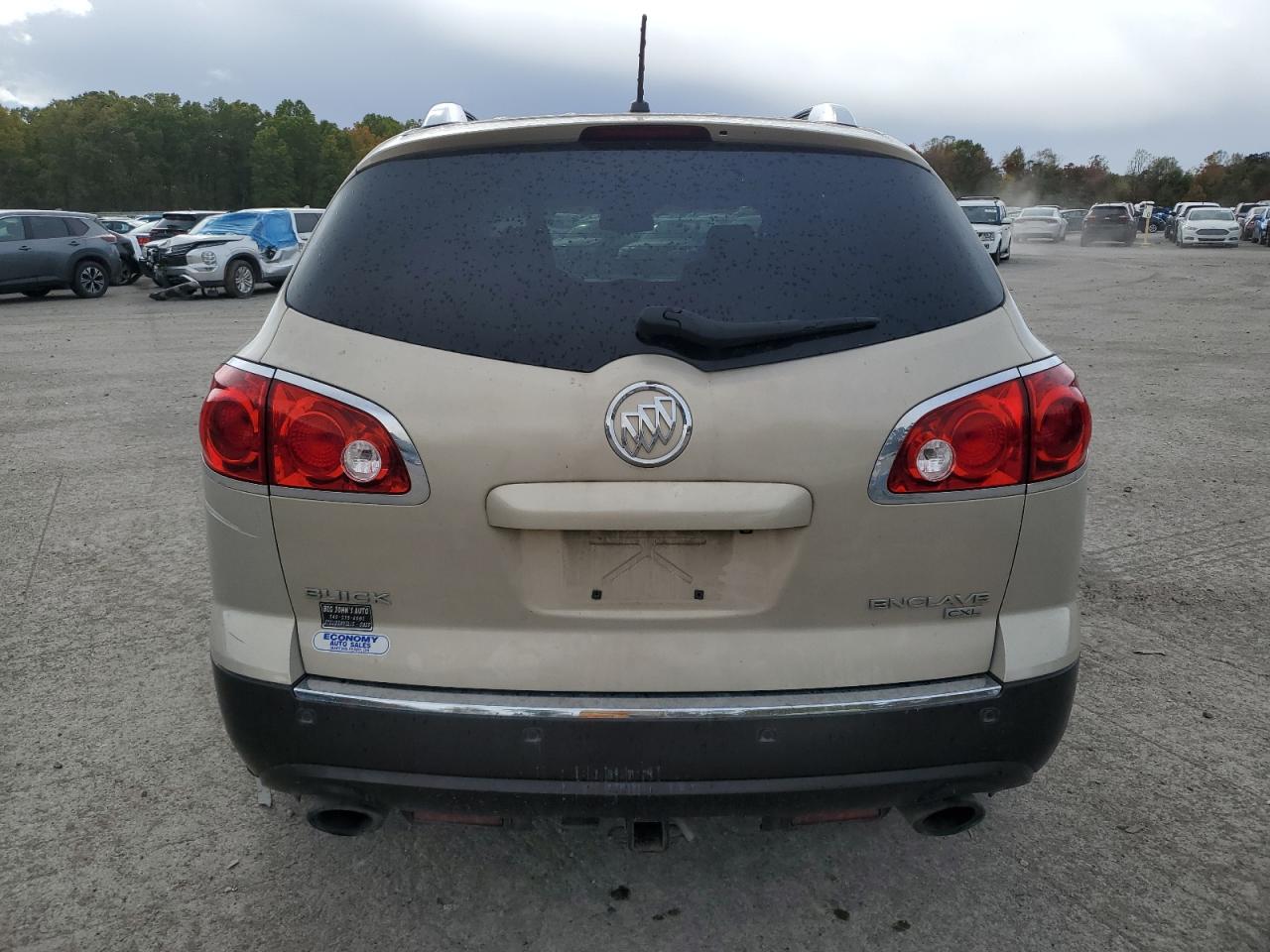 2009 Buick Enclave Cxl VIN: 5GAEV23DX9J206873 Lot: 75736544