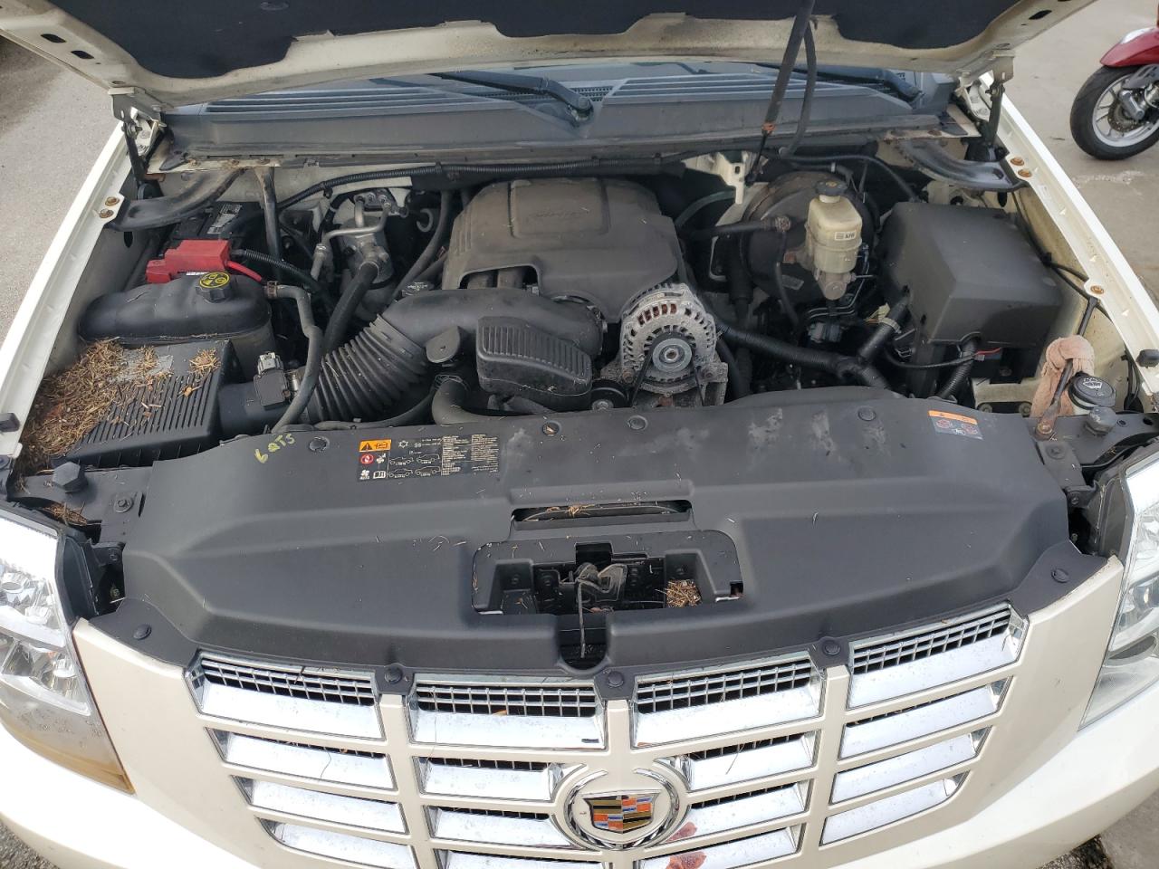 3GYT4NEF6DG337781 2013 Cadillac Escalade Ext Premium