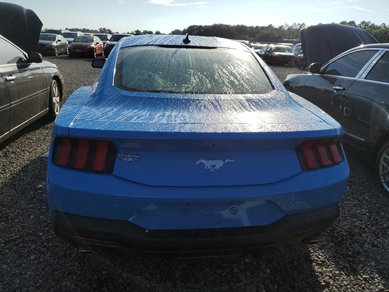 1FA6P8TH8R5143757 2024 Ford Mustang