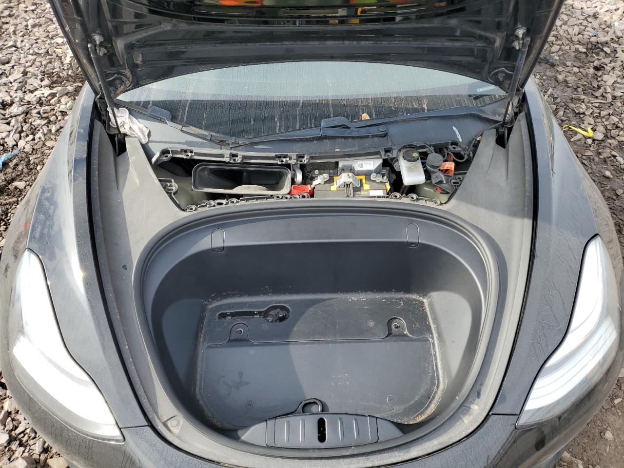 2019 Tesla Model 3 VIN: 5YJ3E1EAXKF395556 Lot: 74335824