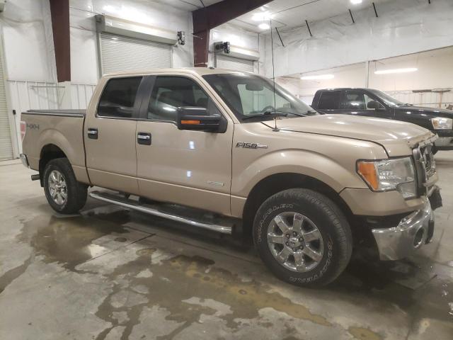 Пікапи FORD F-150 2014 Колір засмаги