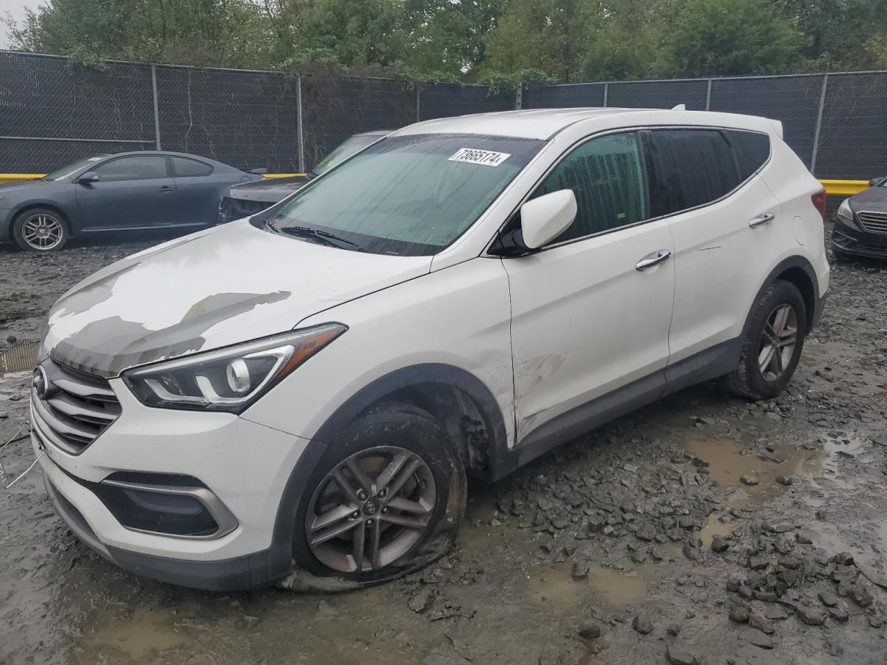 2017 Hyundai Santa Fe - Image 1