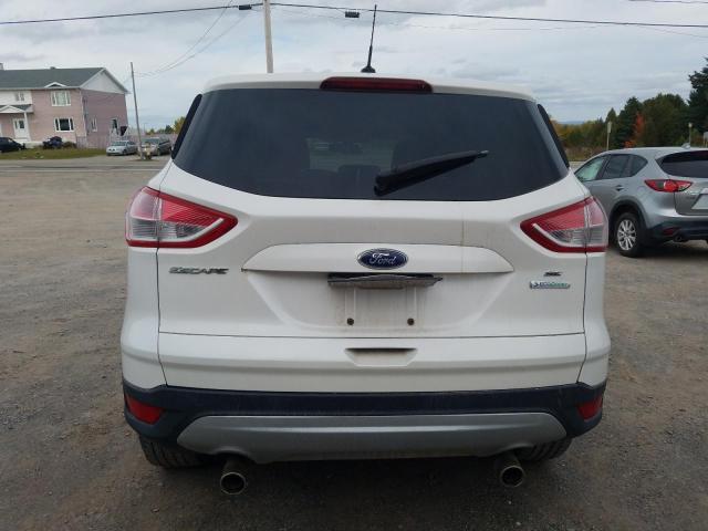  FORD ESCAPE 2013 Biały