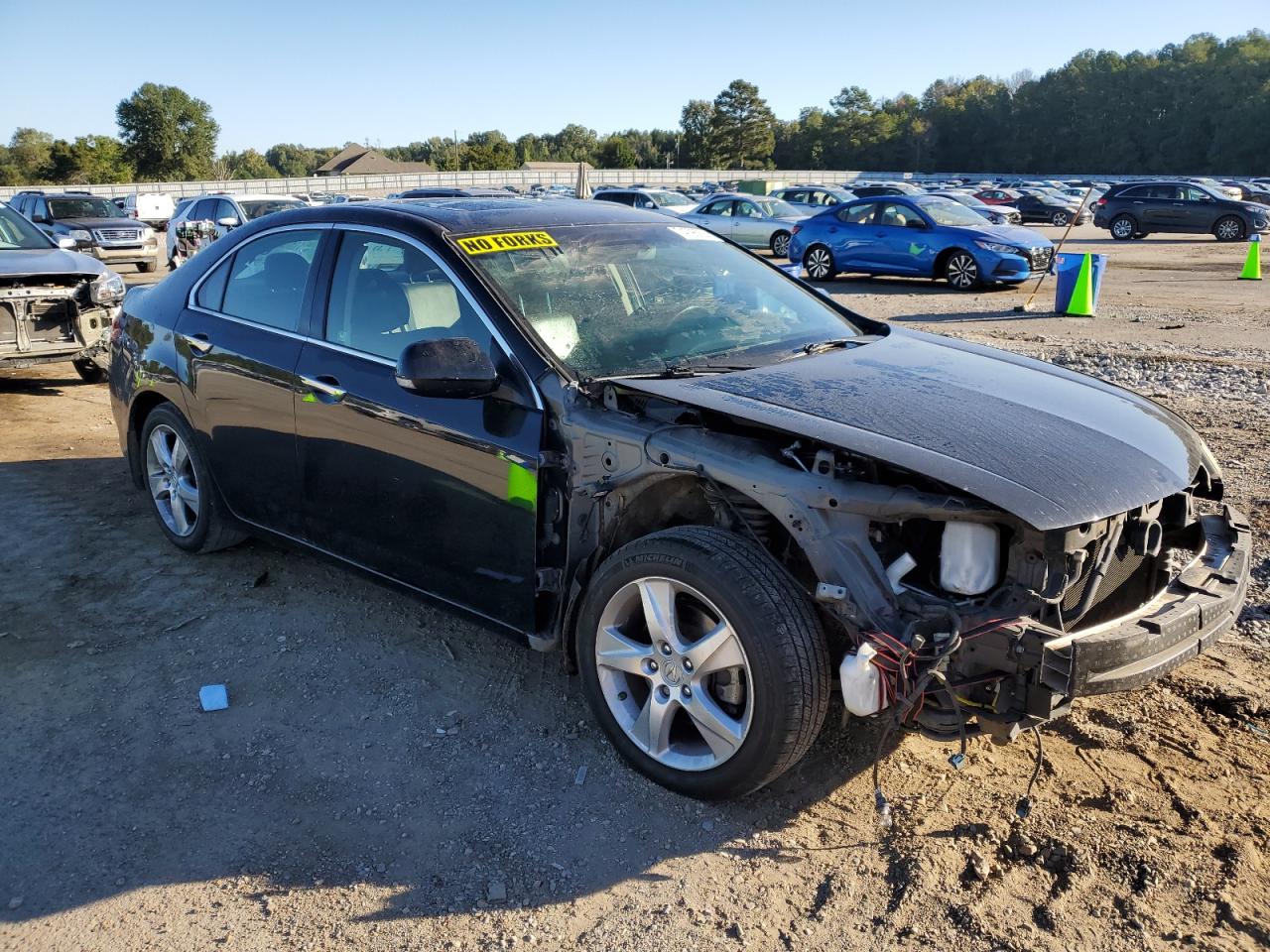 2011 Acura Tsx VIN: JH4CU2F60BC009015 Lot: 74798924