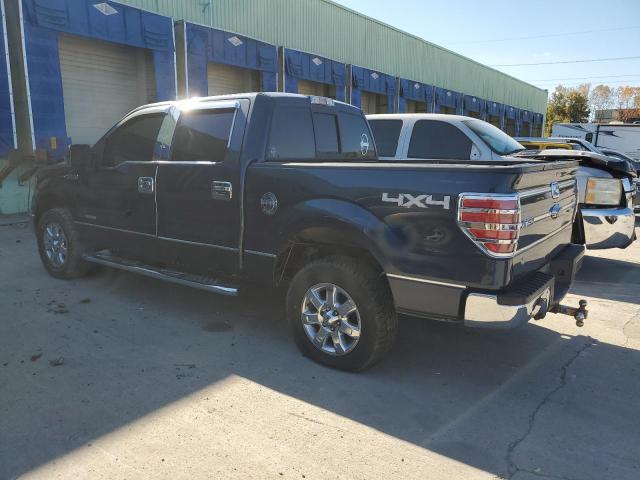  FORD F-150 2014 Blue