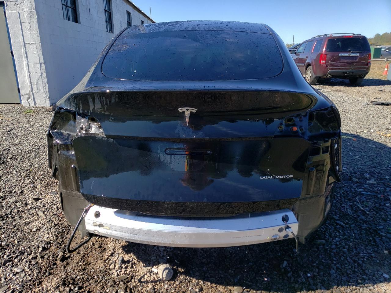 2023 Tesla Model Y VIN: 7SAYGDEEXPA024036 Lot: 74447524