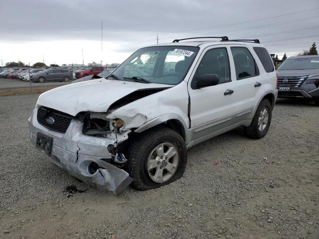 2007 Ford Escape Xlt na sprzedaż w Eugene, OR - Front End