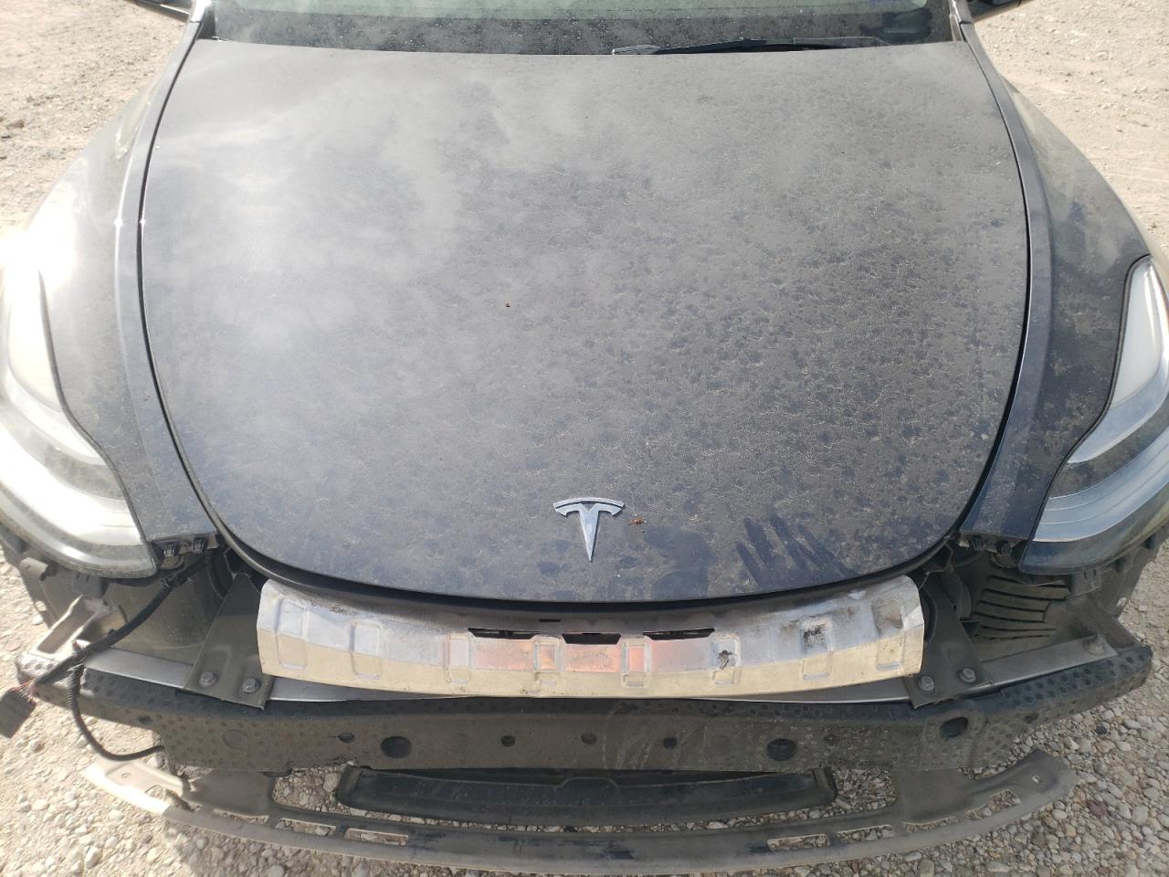 2023 Tesla Model Y VIN: 7SAYGAEE3PF585096 Lot: 77092234