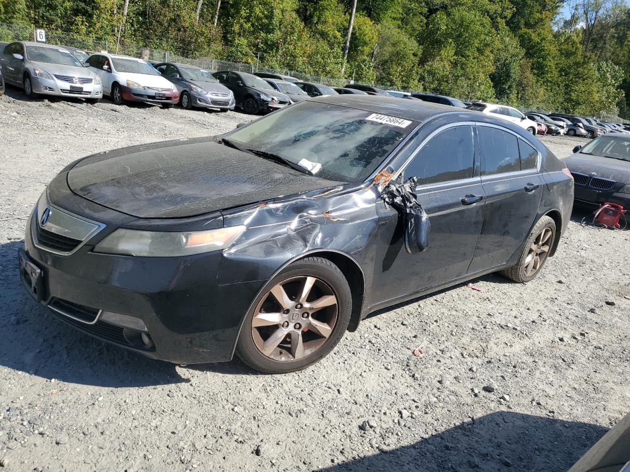 19UUA8F28DA007382 2013 Acura Tl