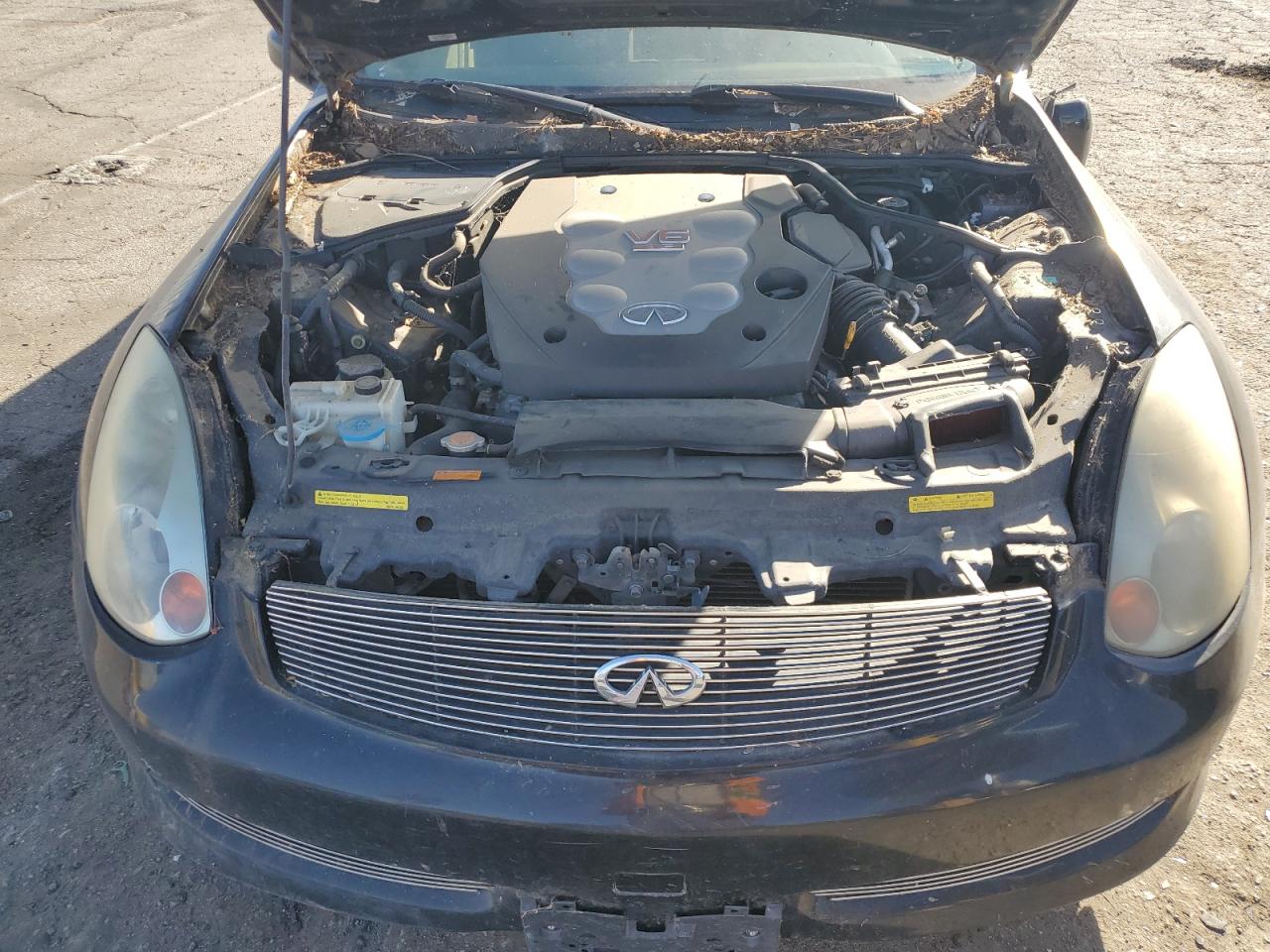 JNKCV54E03M224981 2003 Infiniti G35