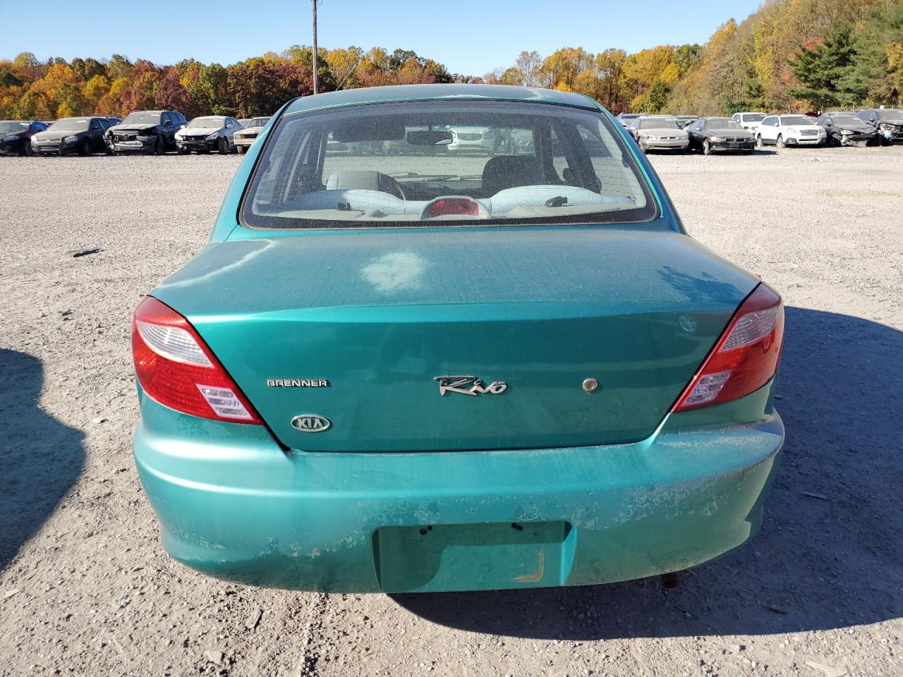 2001 Kia Rio VIN: KNADC123016049295 Lot: 77770704