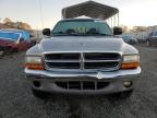 2000 Dodge Dakota  იყიდება Spartanburg-ში, SC - Front End