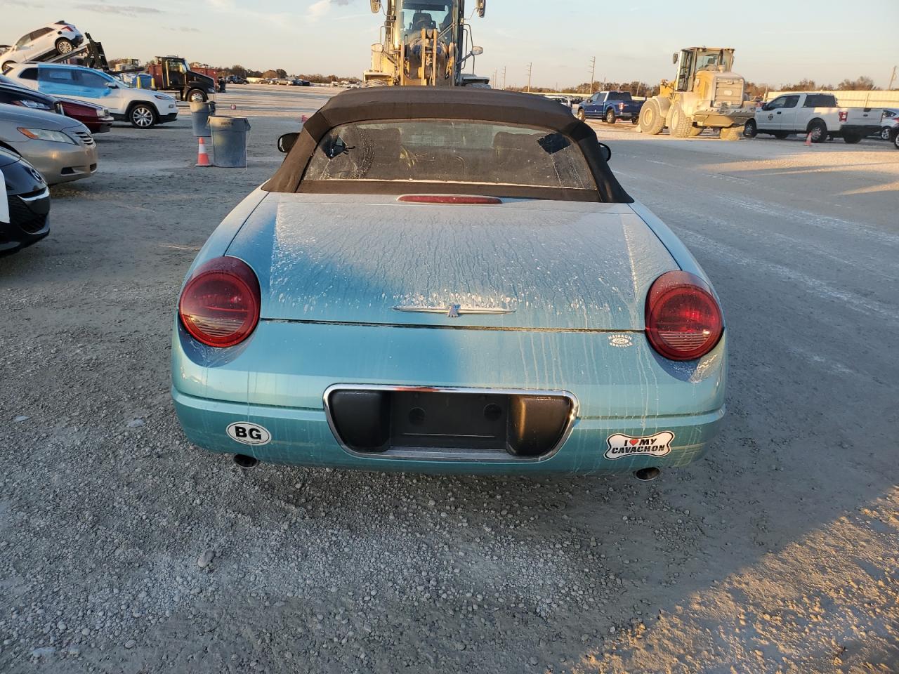 2002 Ford Thunderbird VIN: 1FAHP60A12Y100435 Lot: 77803704