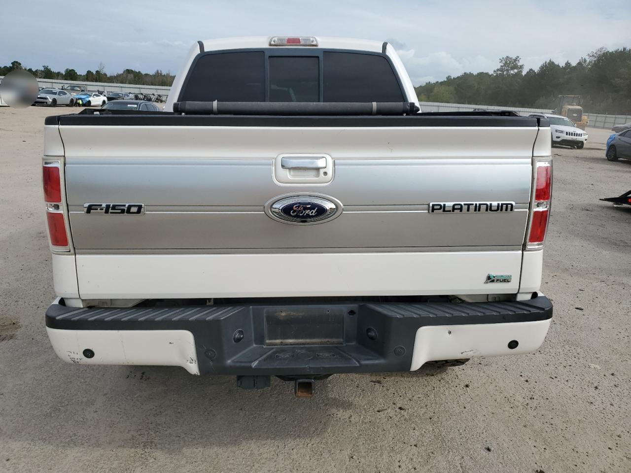 1FTFW1EV5AFD40441 2010 Ford F150 Supercrew