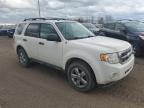 2010 Ford Escape Xlt   na sprzedaż w Davison, MI - Minor Dent/Scratches