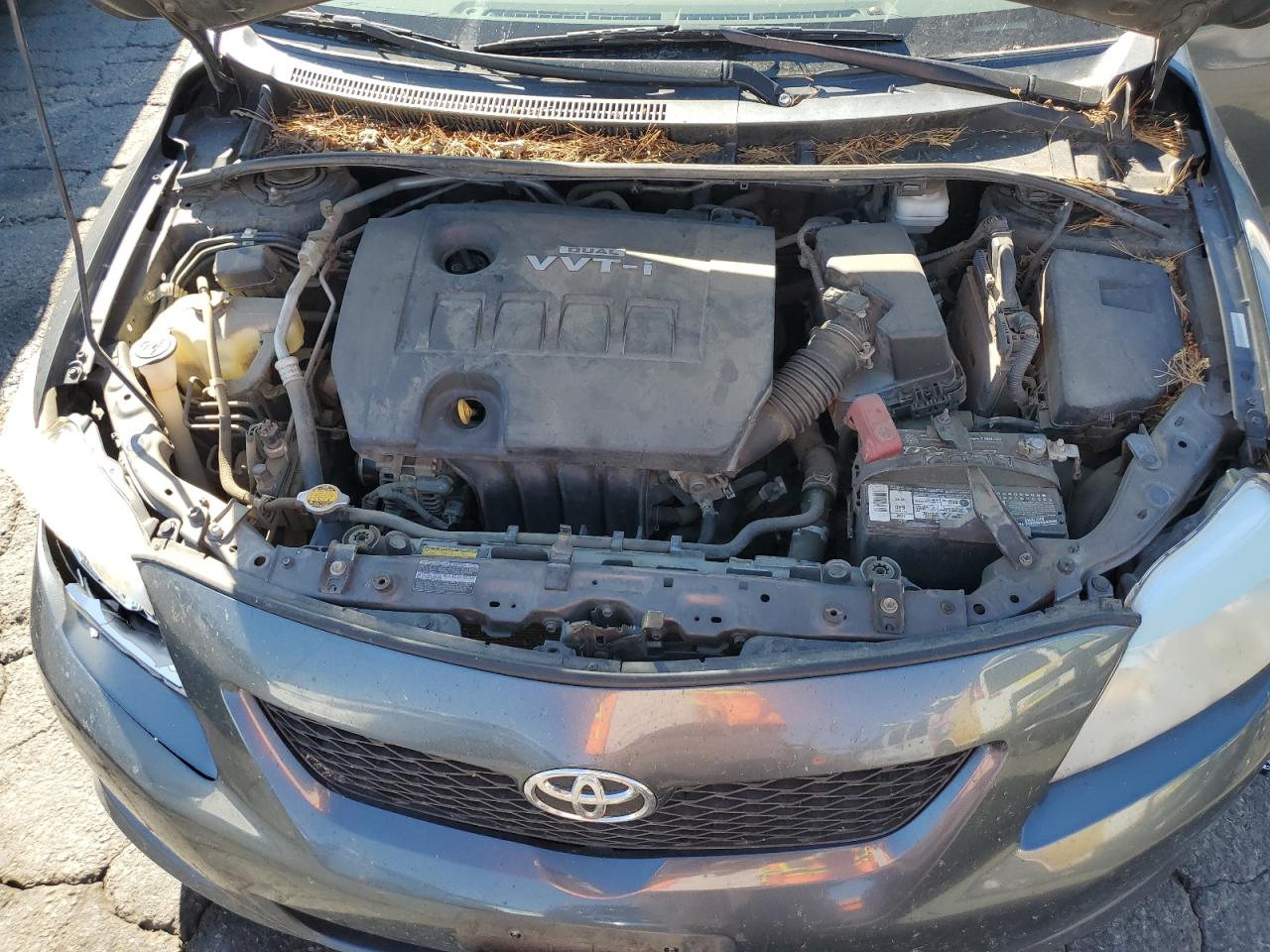 2010 Toyota Corolla Base VIN: 1NXBU4EE6AZ238241 Lot: 75335344