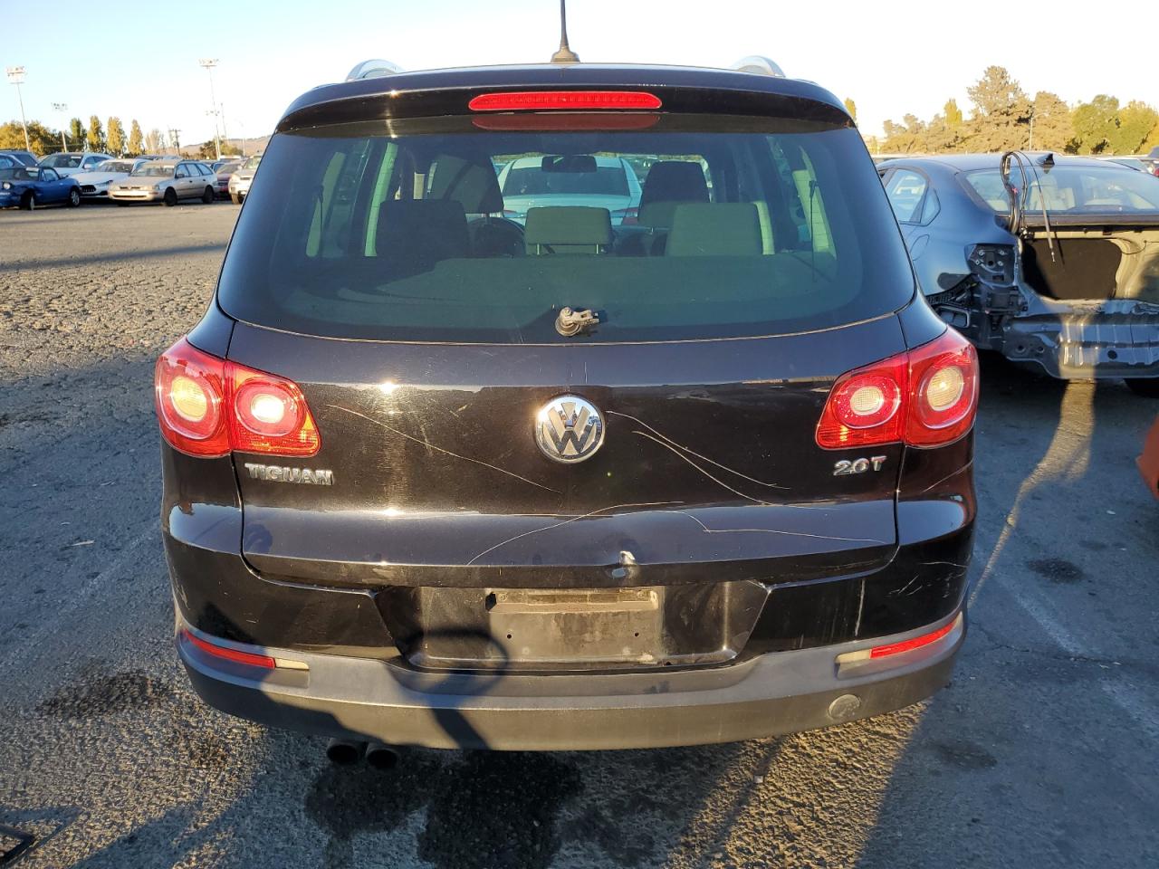 WVGAV75N59W534975 2009 Volkswagen Tiguan S