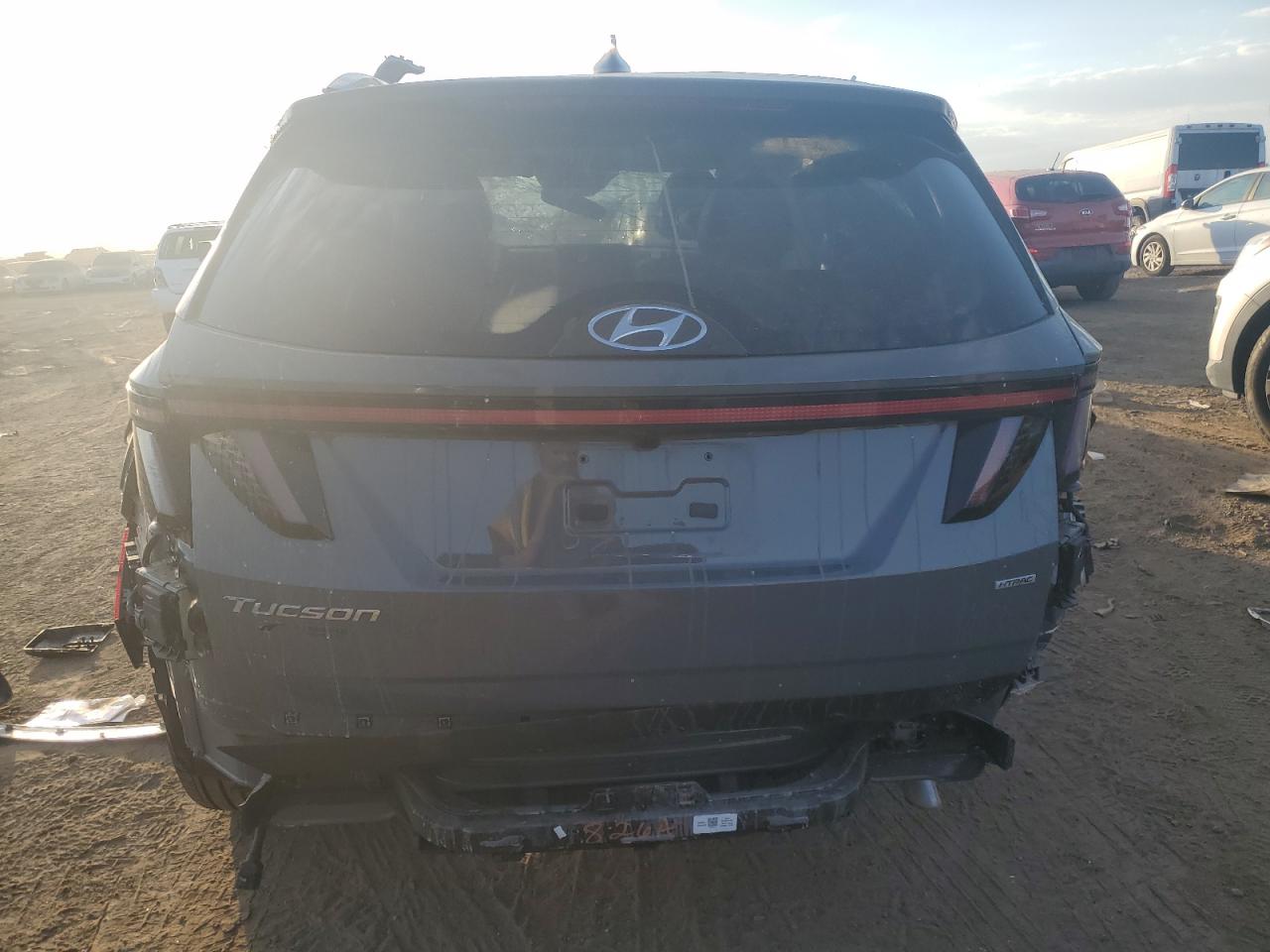 2024 Hyundai Tucson Limited VIN: 5NMJECDE7RH316179 Lot: 75636414