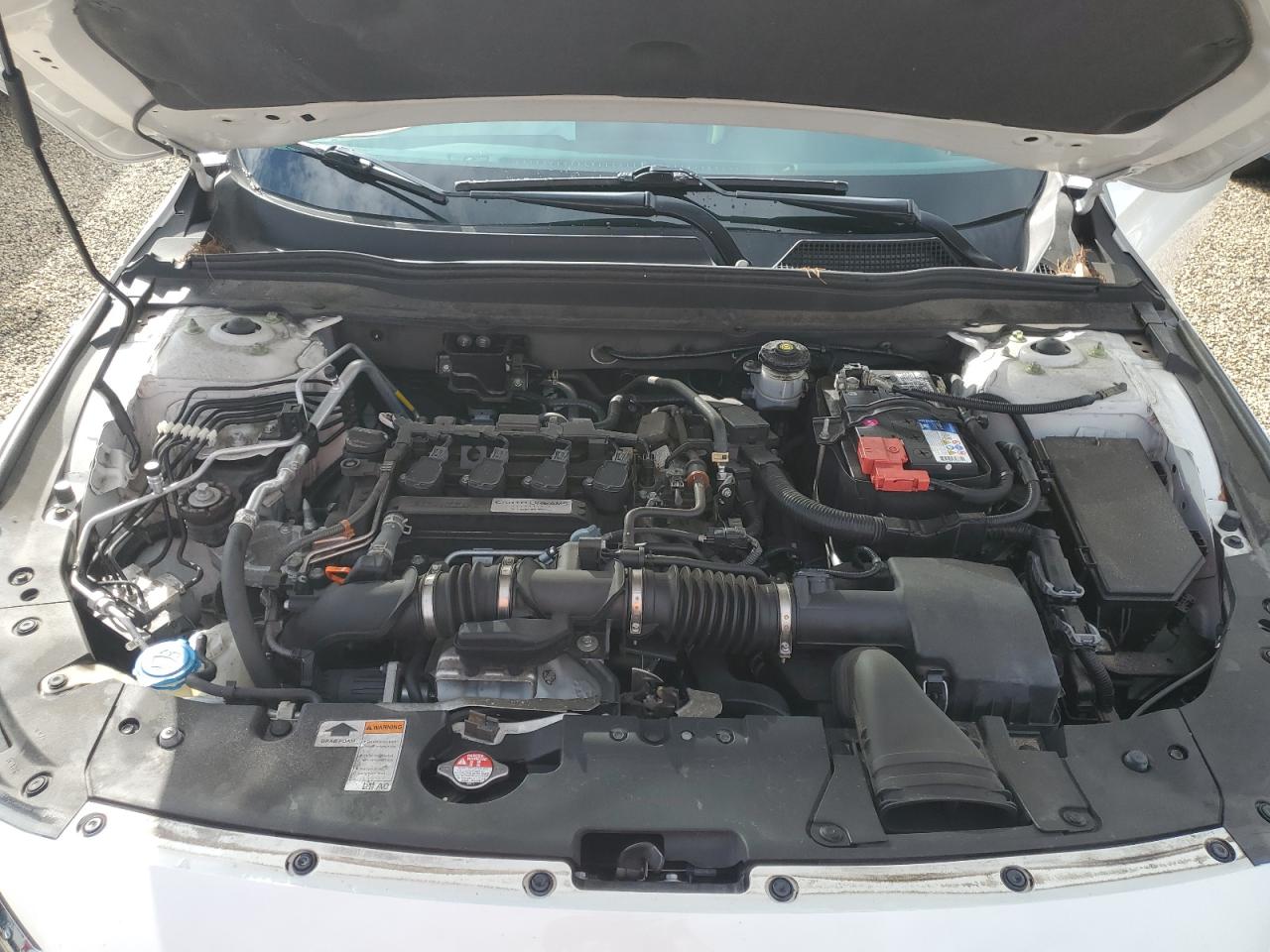 1HGCV1F55JA116296 2018 Honda Accord Exl