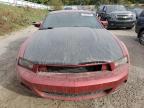 2012 Ford Mustang  for Sale in Davison, MI - Front End