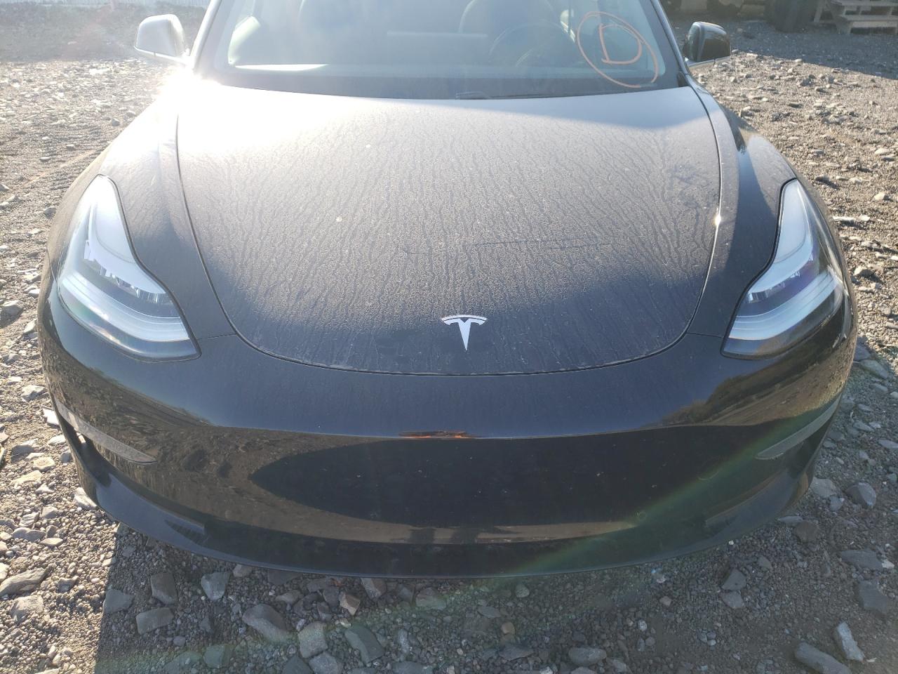 2019 Tesla Model 3 VIN: 5YJ3E1EB4KF386117 Lot: 75982964