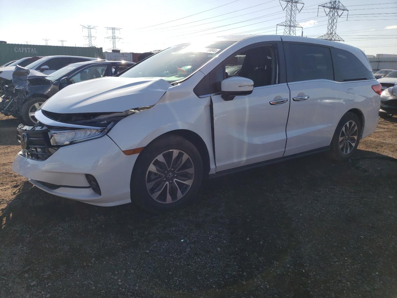 2022 Honda Odyssey Exl VIN: 5FNRL6H76NB019793 Lot: 77683984