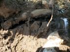 2012 Dodge Ram 2500 Laramie продається в Gastonia, NC - Water/Flood