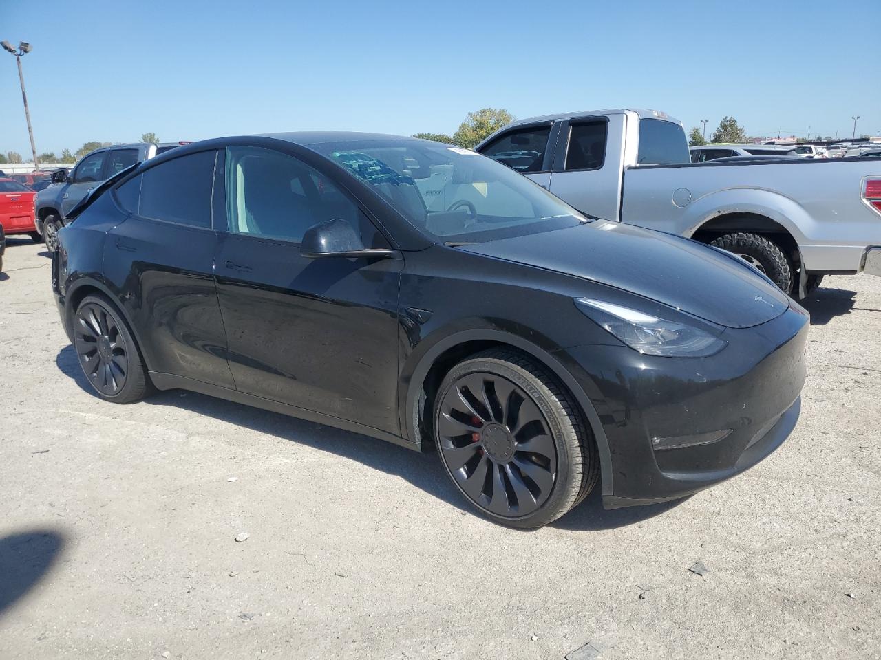 2024 Tesla Model Y VIN: 7SAYGDEF2RF043520 Lot: 74229574